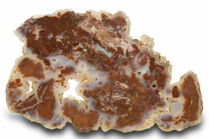 Polished Wyoming Youngite Slab - Fluorescent #334902